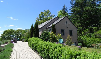 Vineyards - Petite Riviere